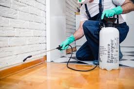 Best Pest Exclusion Services  in Socorro, NM